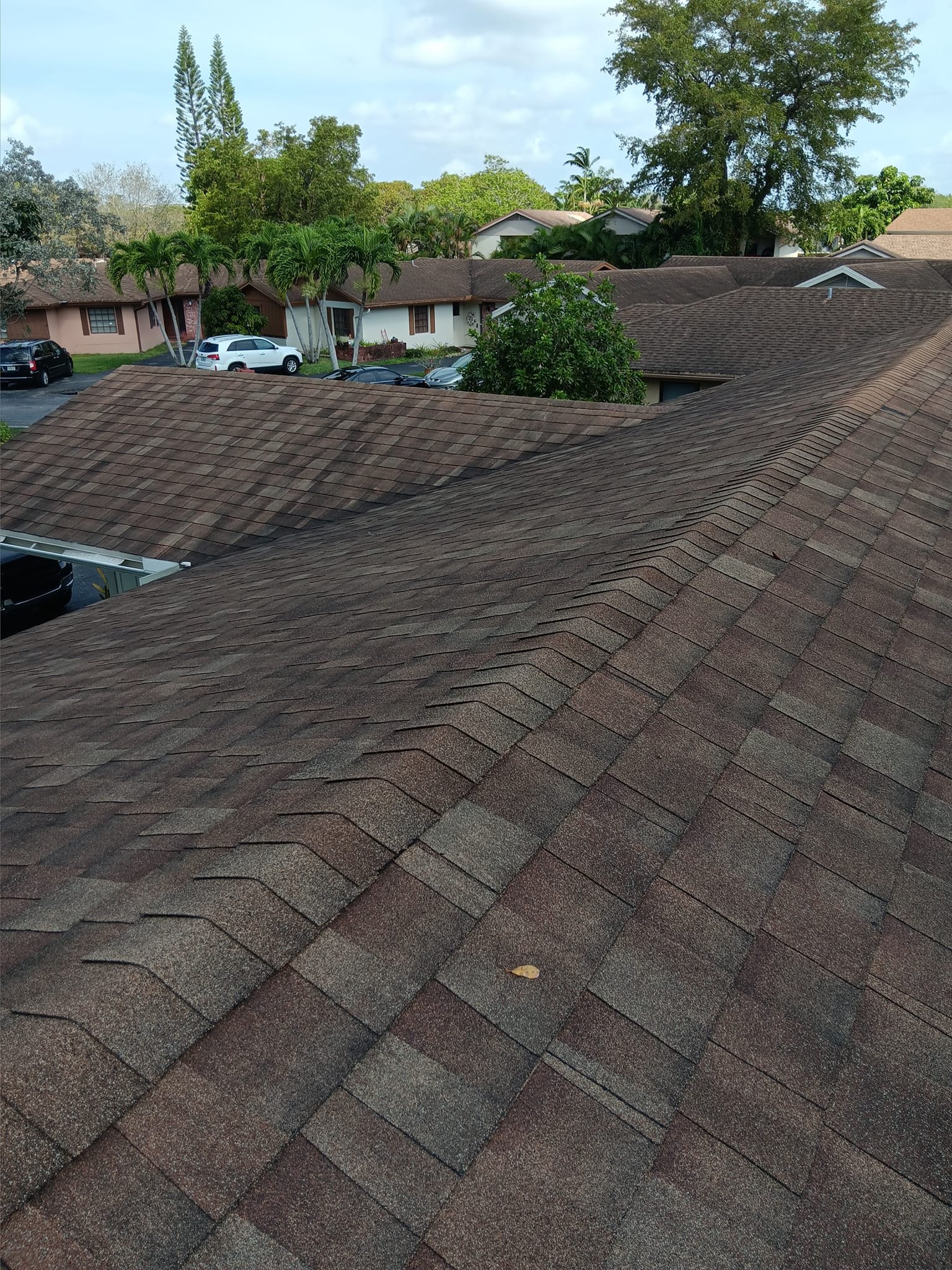 Before Roof Cleaning