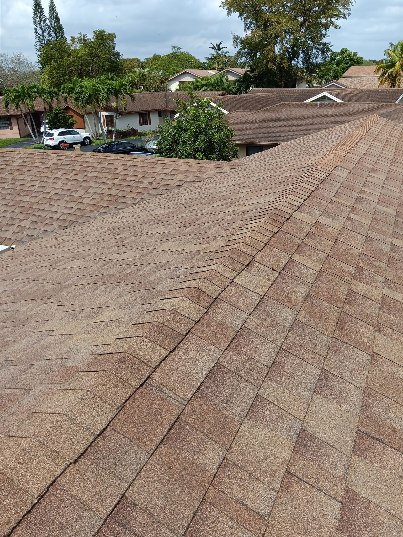 After Roof Cleaning